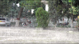 rain