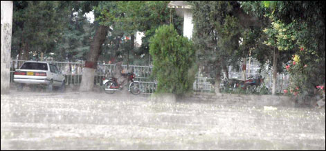 rain