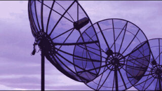 telecom sector