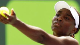 venus williams
