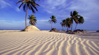 Bahia brazil