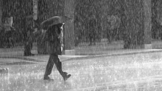 Rainy Day