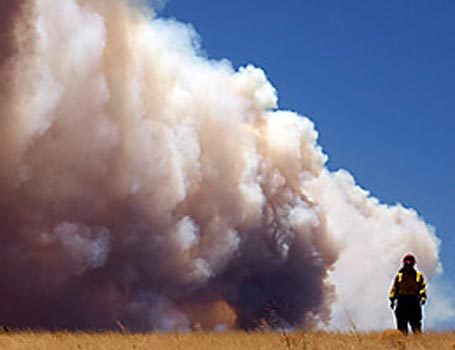 ایری زونا کے جنگلات کی آگ پچیس سو ایکڑ تک پھیل گئی