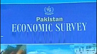 economic survey