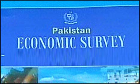 economic survey