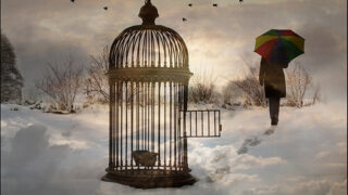 empty cage