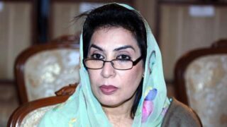 fehmida mirza