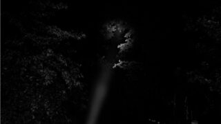 light in night