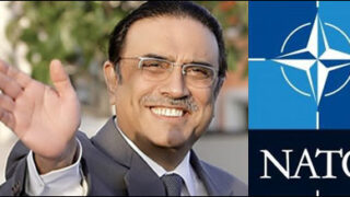nato zardari