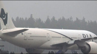 pia