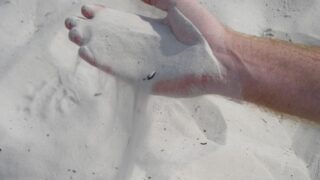sand in hand