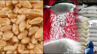 wheat sugar