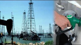 Oil