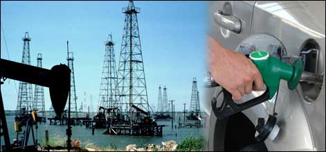 Oil