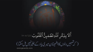 Surat Ar-Ra-d - 28