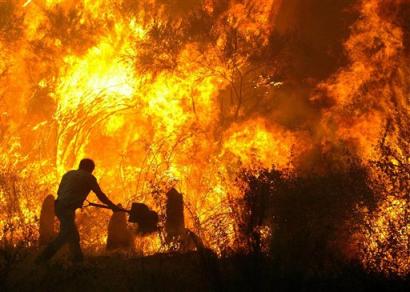 forest fire