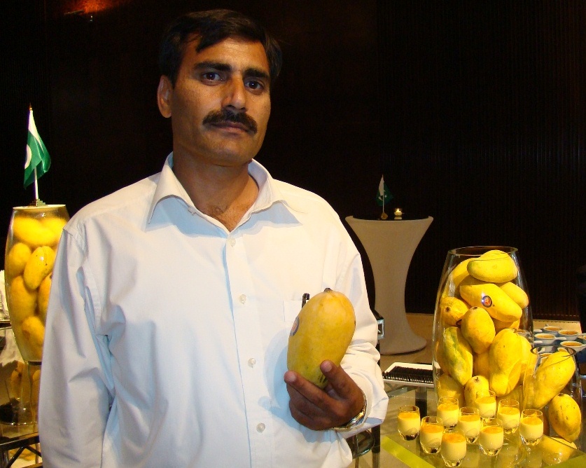 mango festival
