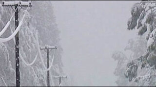 new zealand snow