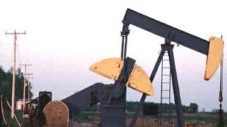 oil