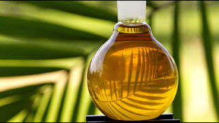 palm oil