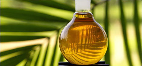 palm oil
