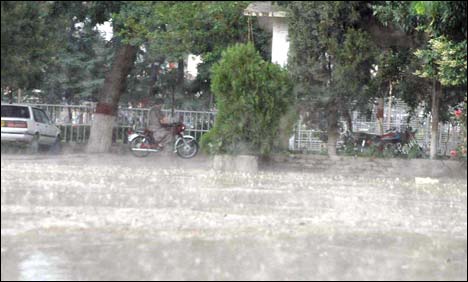 rain