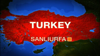 turkey