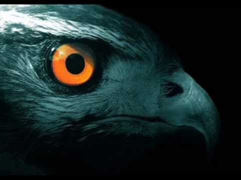 دل سوز سے خالی ہے ، نگاہ پاک نہیں ہے