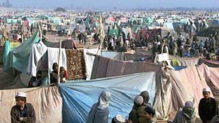 Afghan fefugees