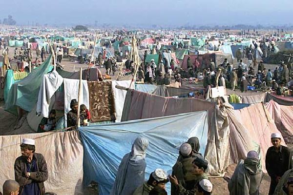 Afghan fefugees