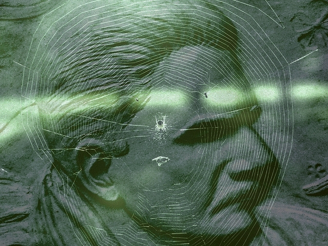 ایک مکڑا اور مکھی