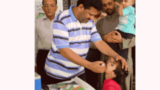 PICTURE MQM 01