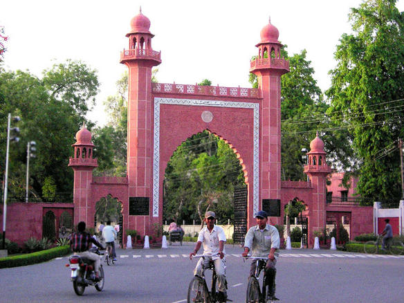 aligarh muslim university