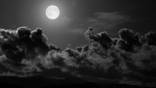 alone moon