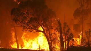 california fire