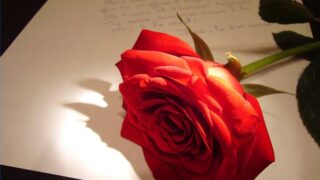 dard e ishq