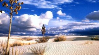 desert