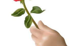 gift flower