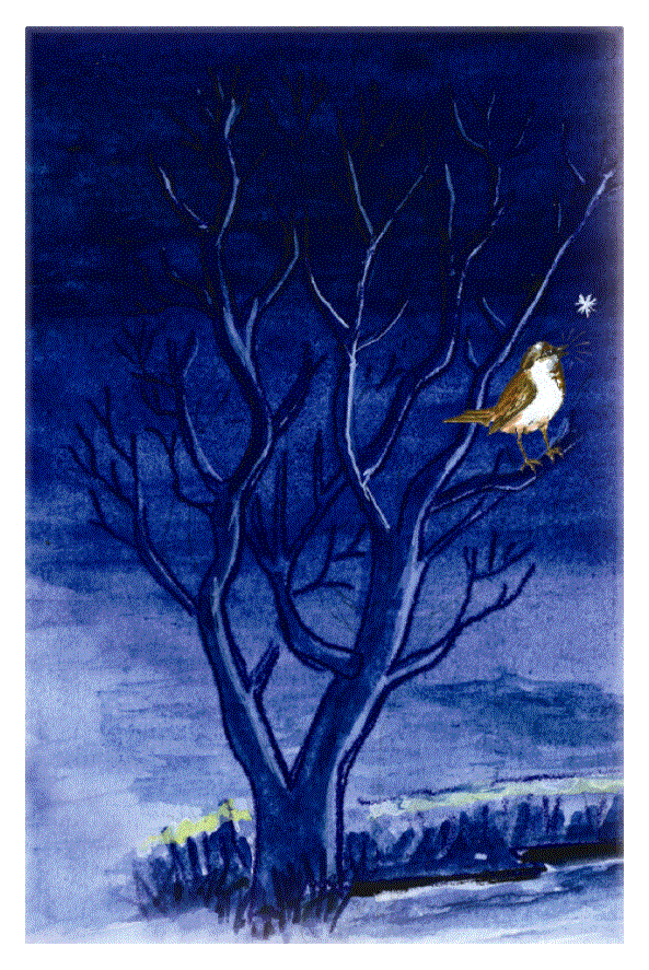 ہمدردی  (ماخوذ  از ولیم کو پر )