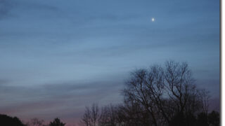 morning star