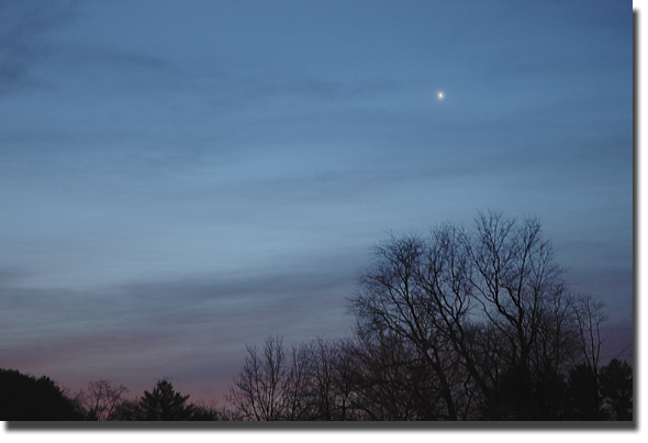 morning star