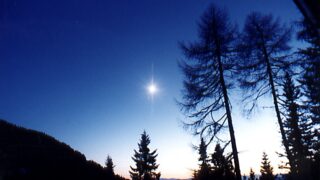 morning star