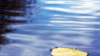 quiet waters