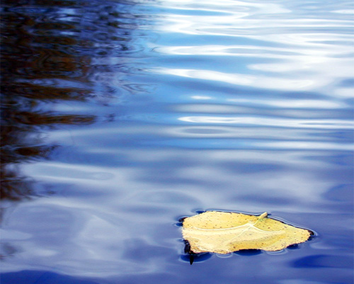 quiet waters