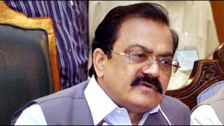 rana sana