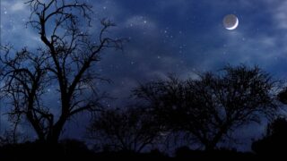 Chaand Raat