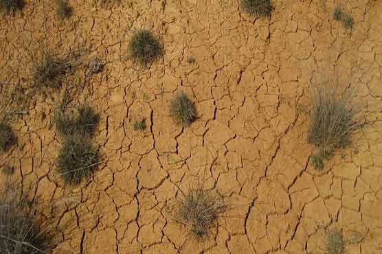 چلی : بدترین خشک سالی ، زرعی ایمرجنسی نافذ