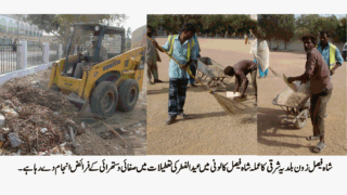 Cleaning in Union Council