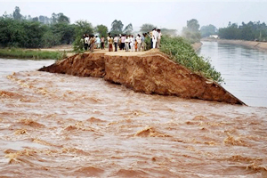 Flood Punjab