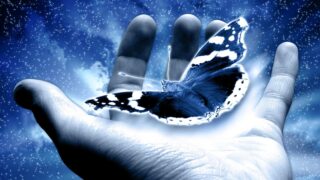 Holding a butterfly